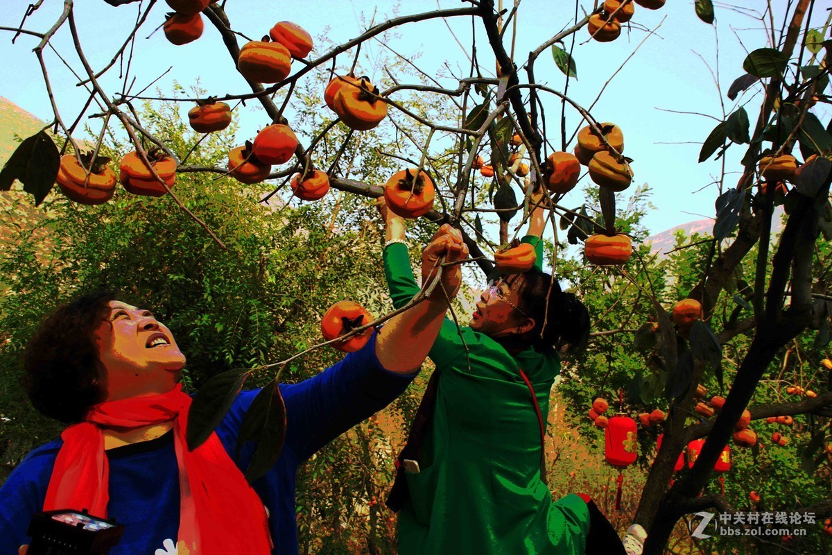马中文达思-保定神泉山庄系列