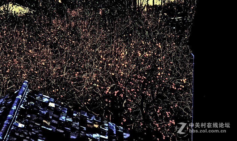 马中文达思-保定神泉山庄系列