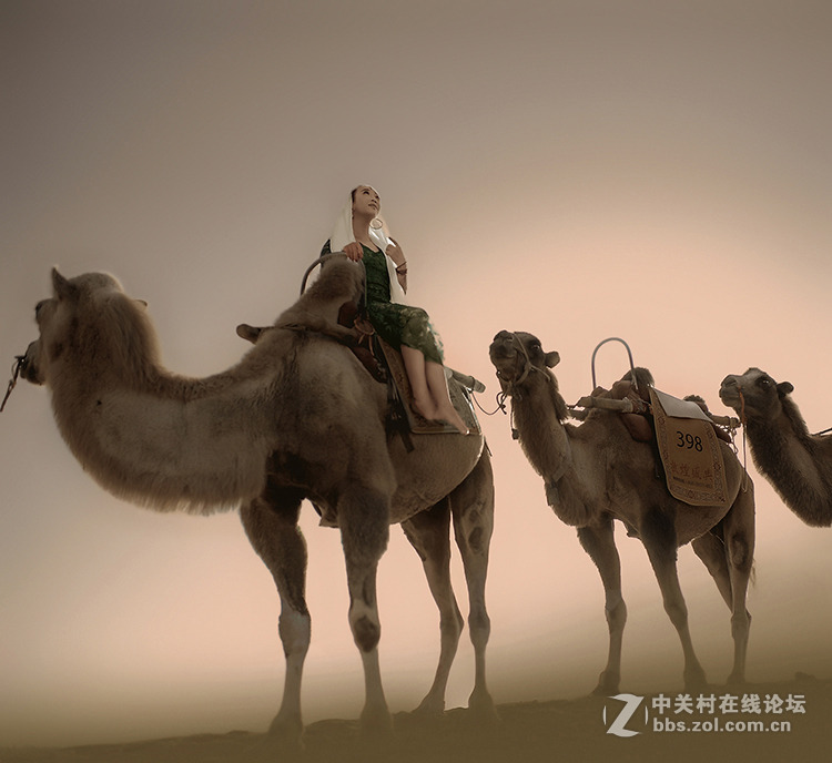 丝路华语   拍摄&后期：蚊子   出镜：苏苏