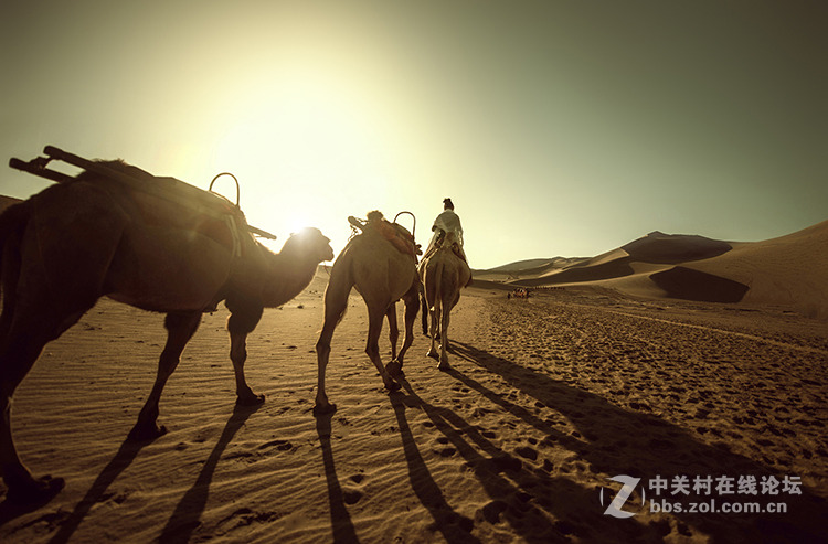 丝路华语   拍摄&后期：蚊子   出镜：苏苏