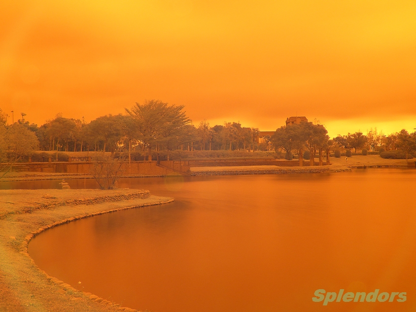 FZ200, (阴天) 红外线滤镜实拍(Cokin P007),