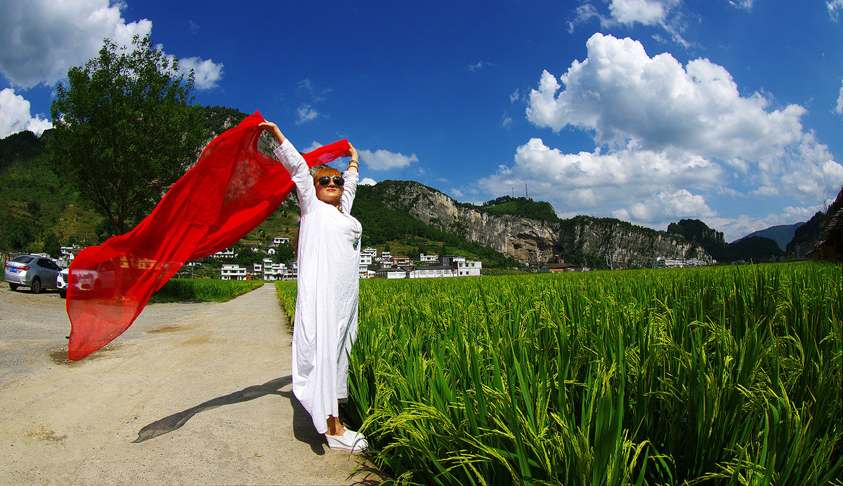 双沙不仅菜花美，秋日稻谷景更佳