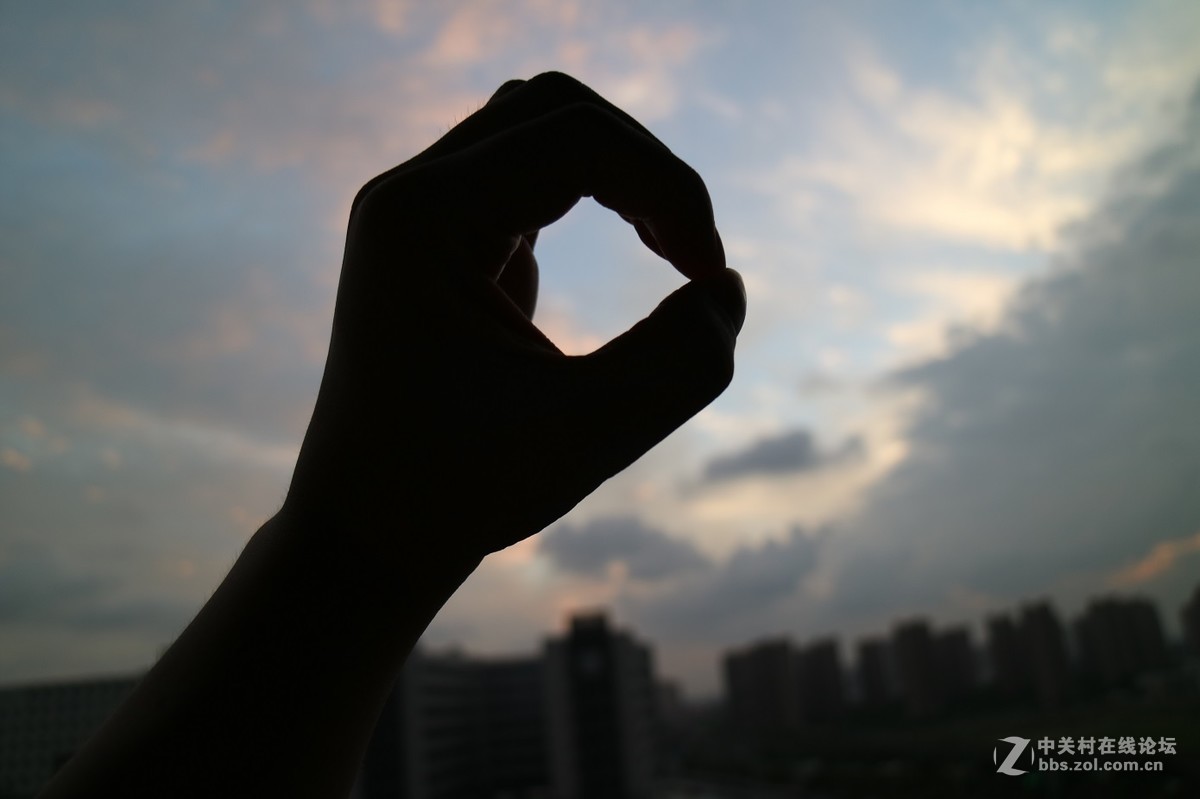 新手试拍（第二弹）！望指教