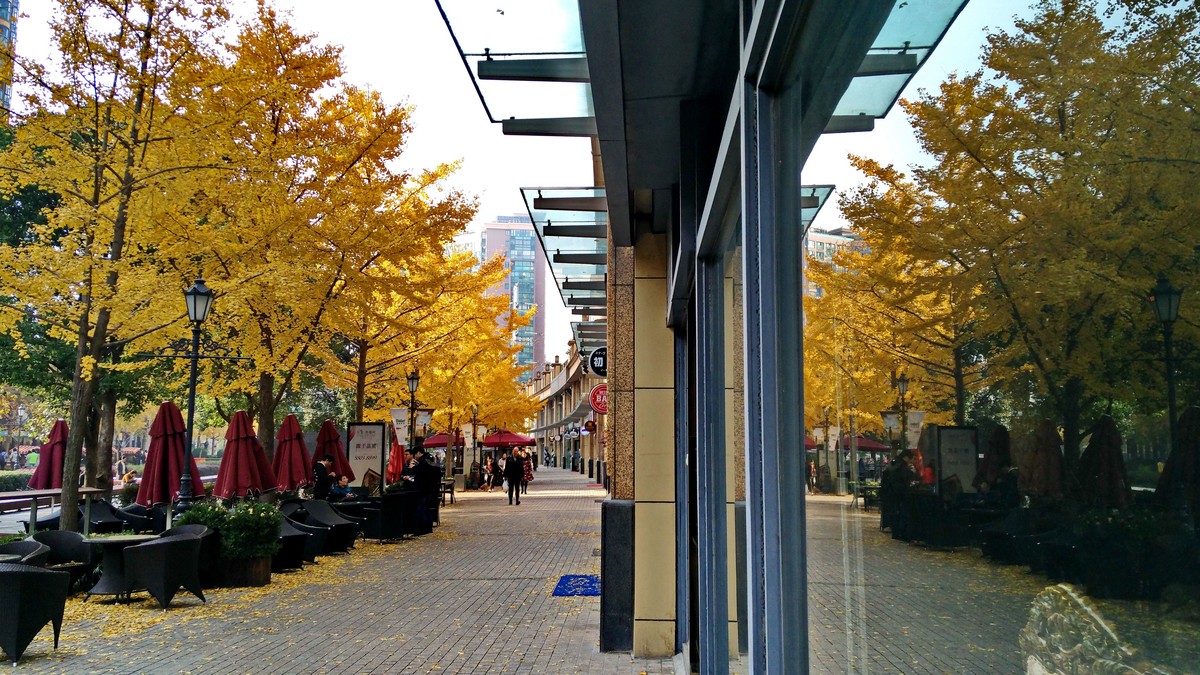 黄金城道 秋意浓