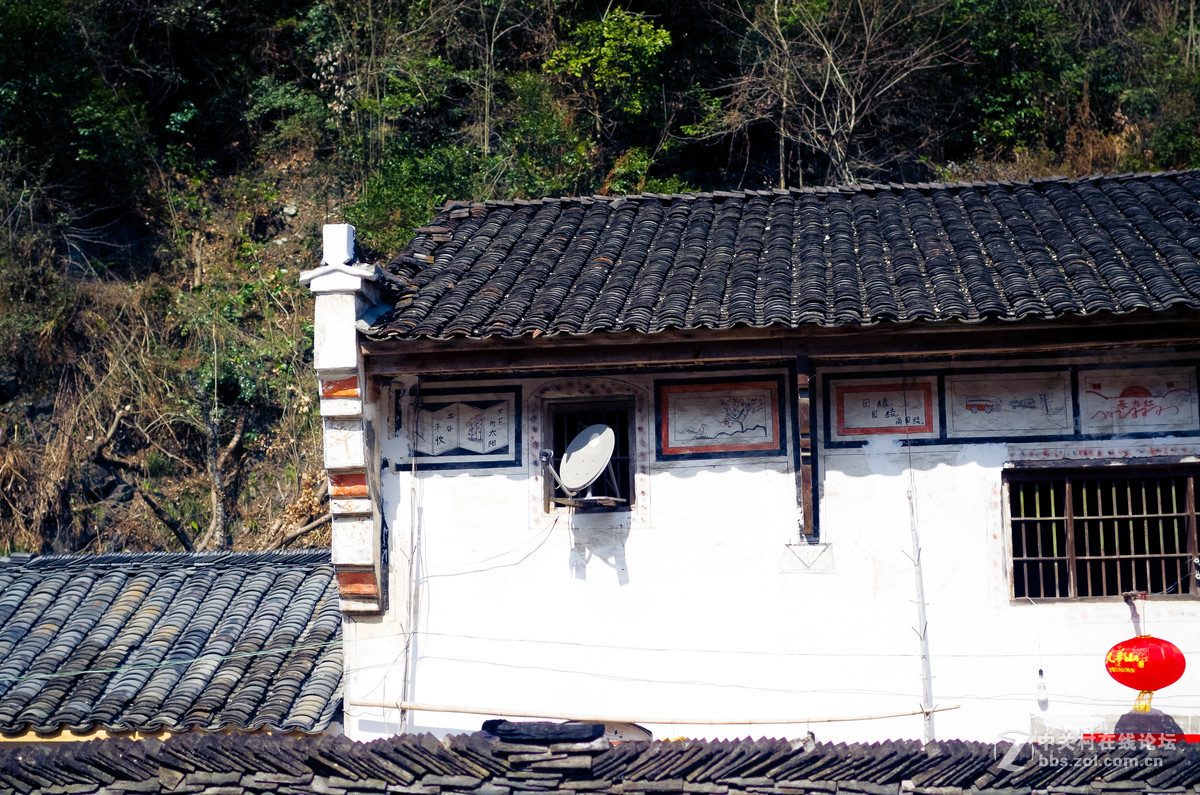 新手随手拍的，后期lr修图