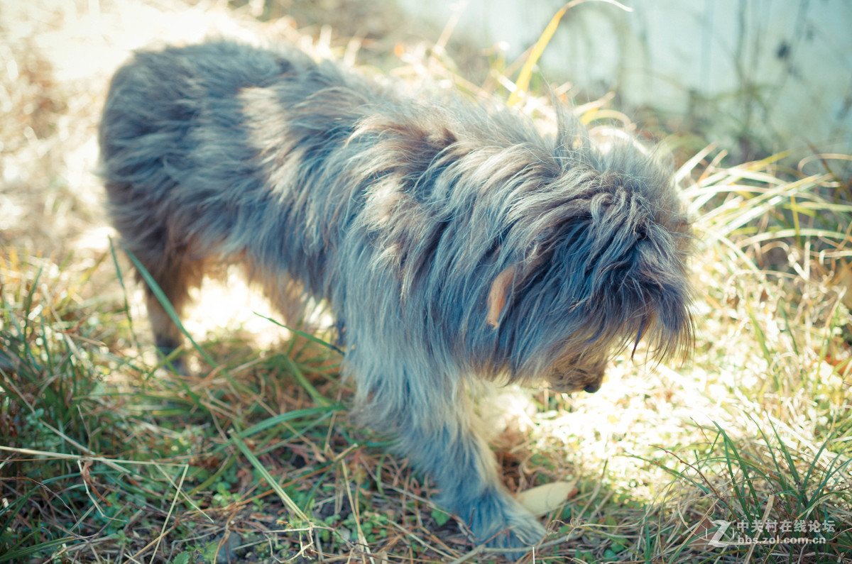 新手随手拍的，后期lr修图