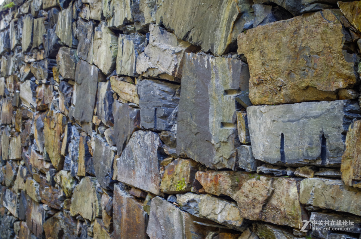 新手随手拍的，后期lr修图