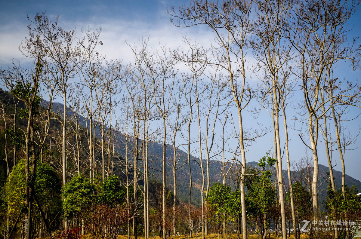 新手随手拍的，后期lr修图