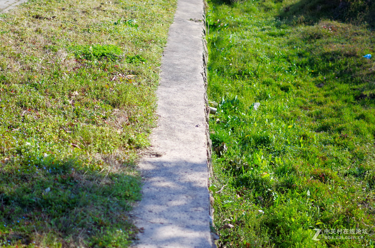 新手随手拍的，后期lr修图