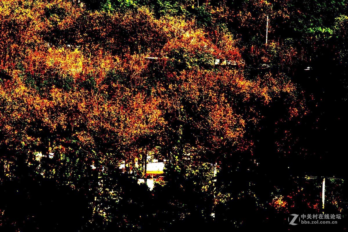 马中文达思-保定神泉山庄系列