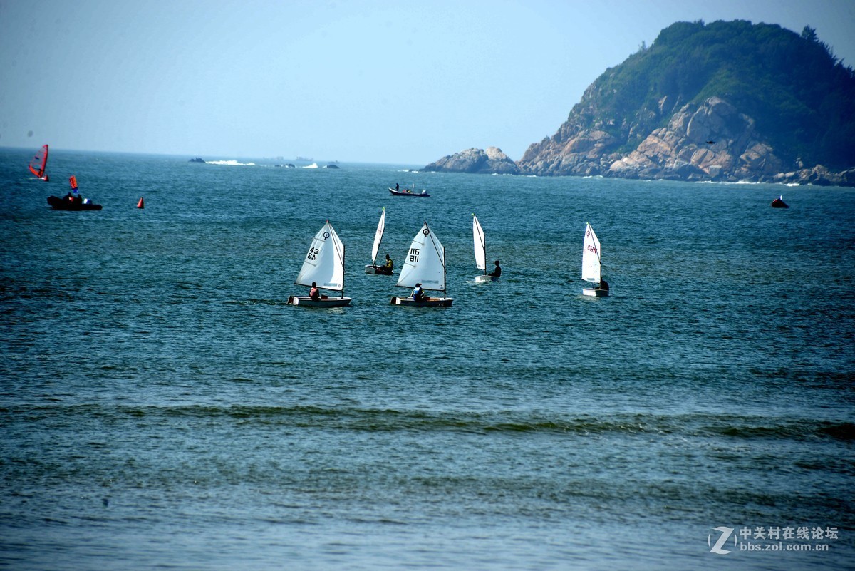 尼康610+图丽80-400
