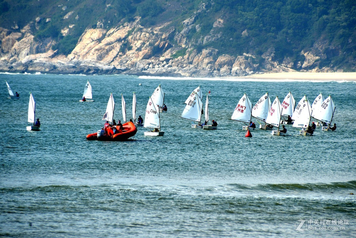 尼康610+图丽80-400