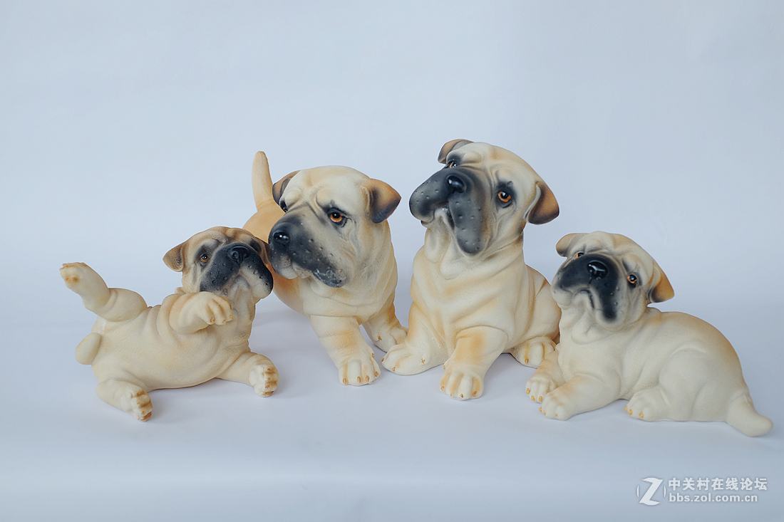 刚刚到手的富士X100T，拍拍静物试试手