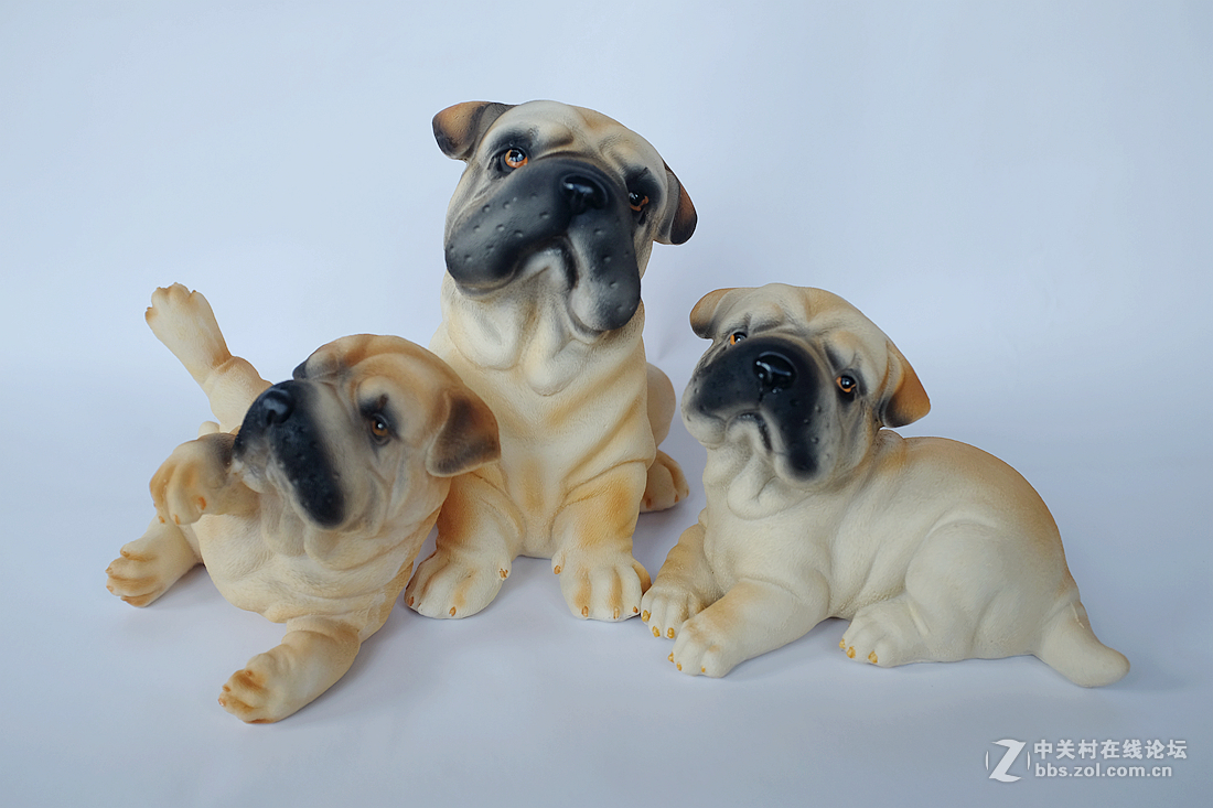 刚刚到手的富士X100T，拍拍静物试试手