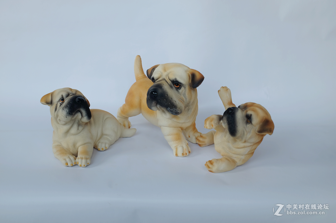 刚刚到手的富士X100T，拍拍静物试试手