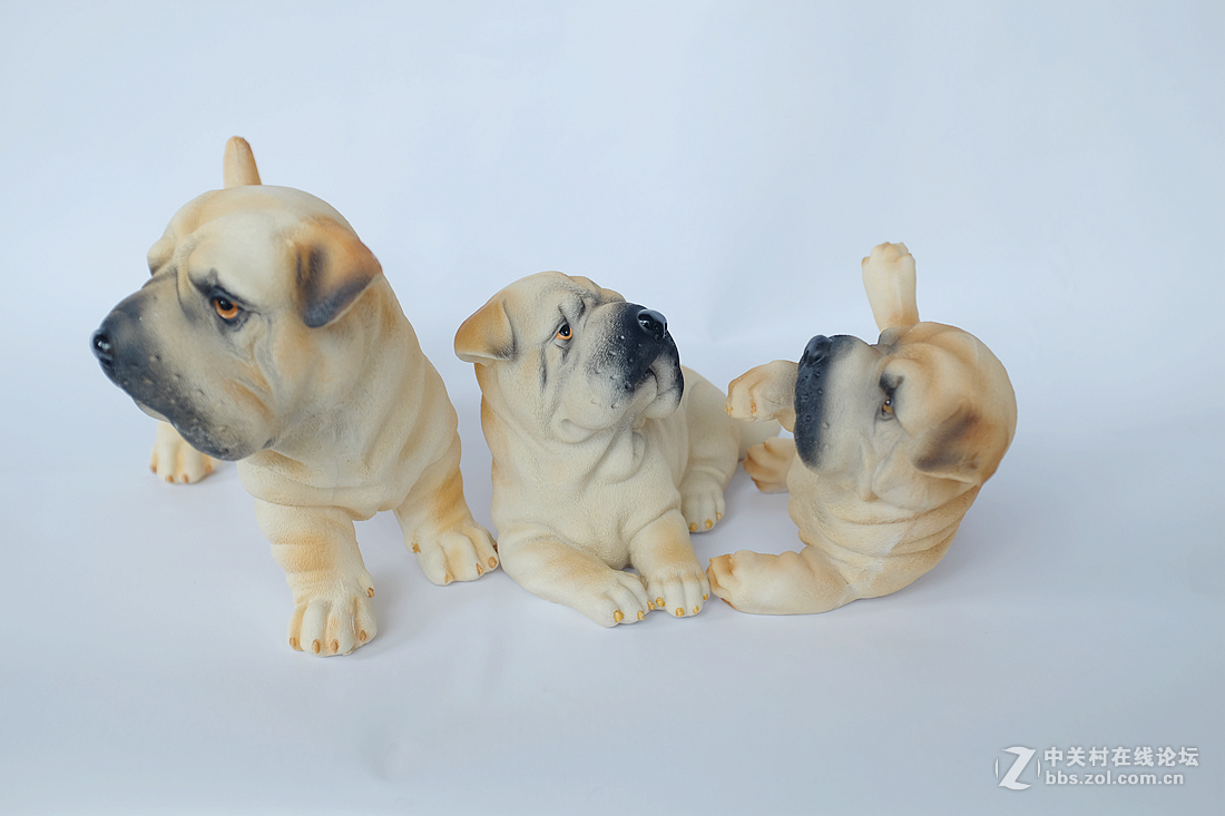 刚刚到手的富士X100T，拍拍静物试试手