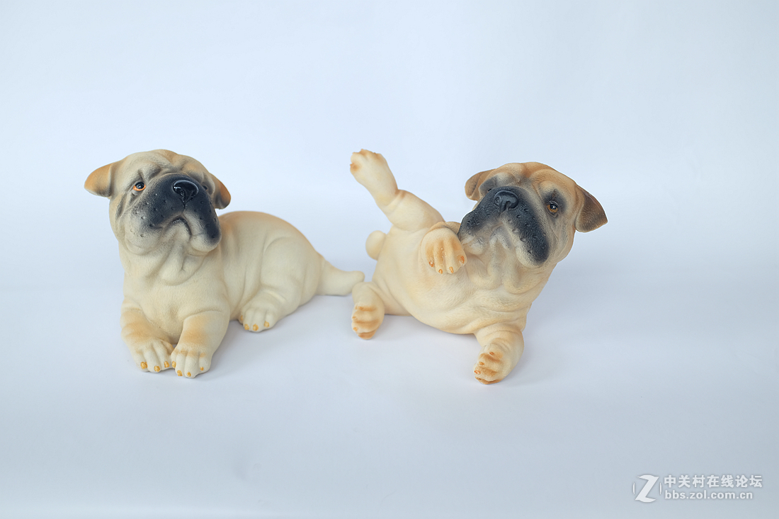 刚刚到手的富士X100T，拍拍静物试试手