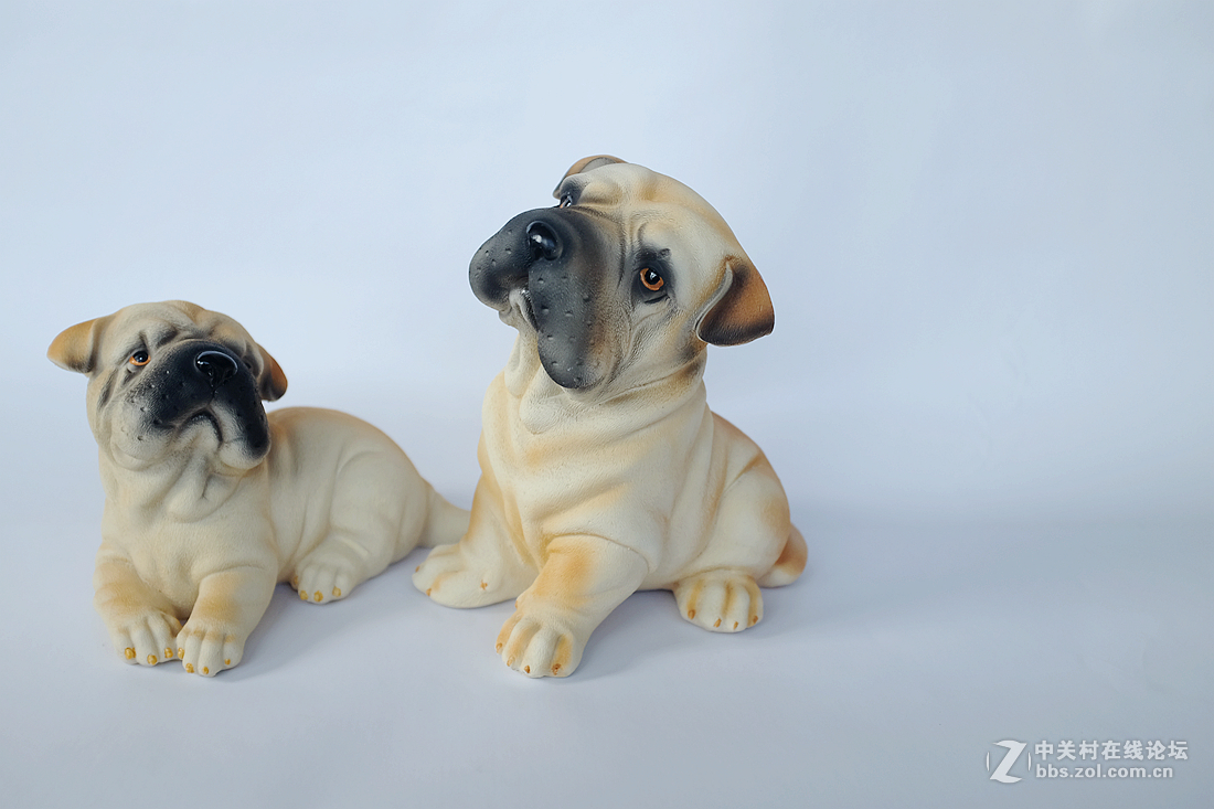 刚刚到手的富士X100T，拍拍静物试试手