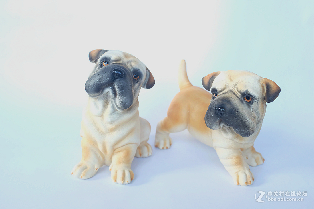 刚刚到手的富士X100T，拍拍静物试试手