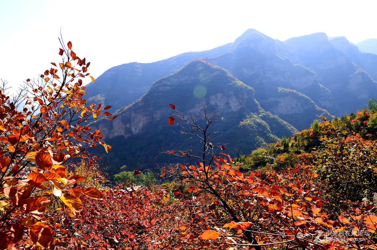 遊房山坡峰嶺賞紅葉