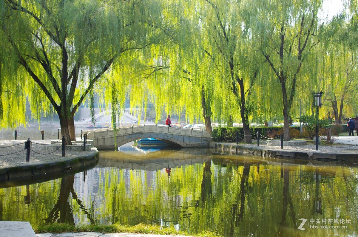 2016北京昌平中心公园景色