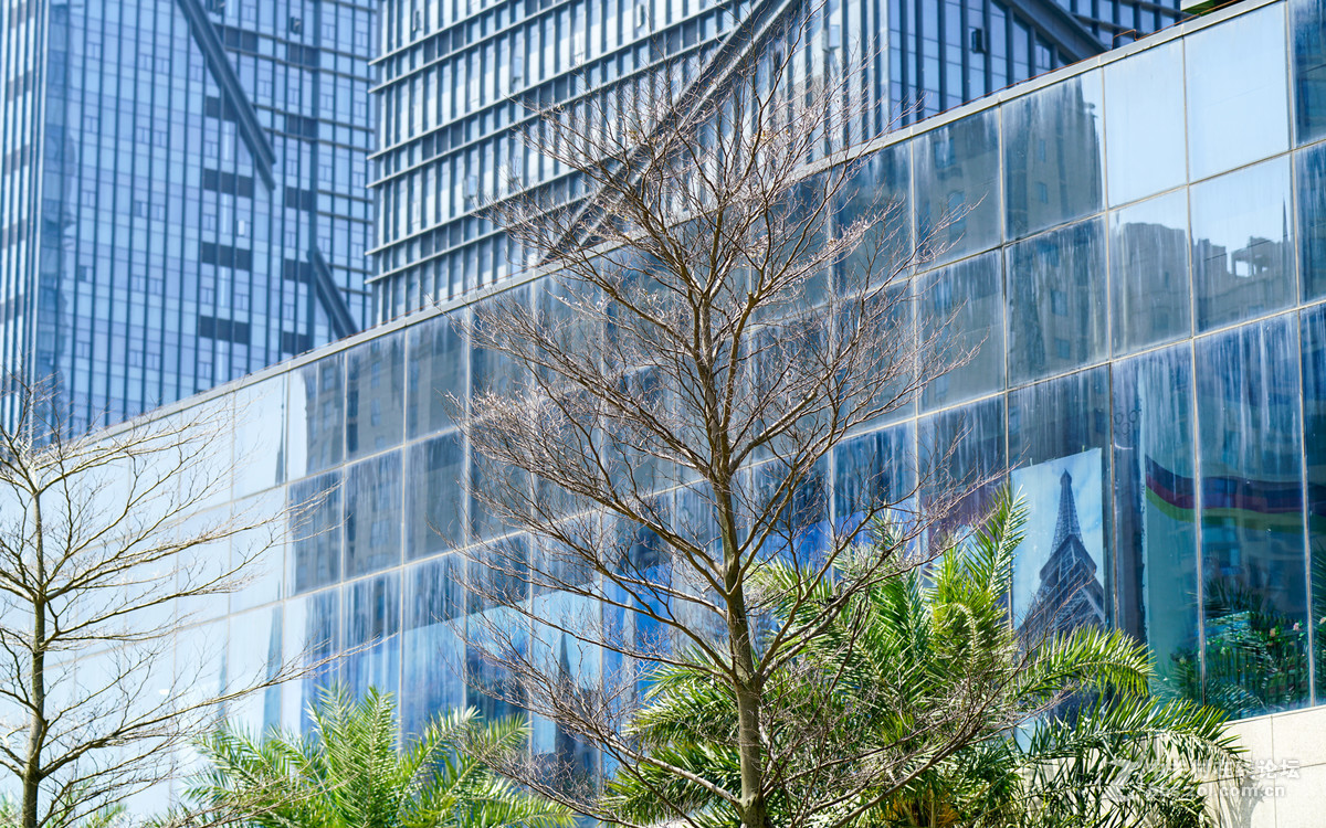 FE100mm F2.8 STF GM OSS的诱惑！