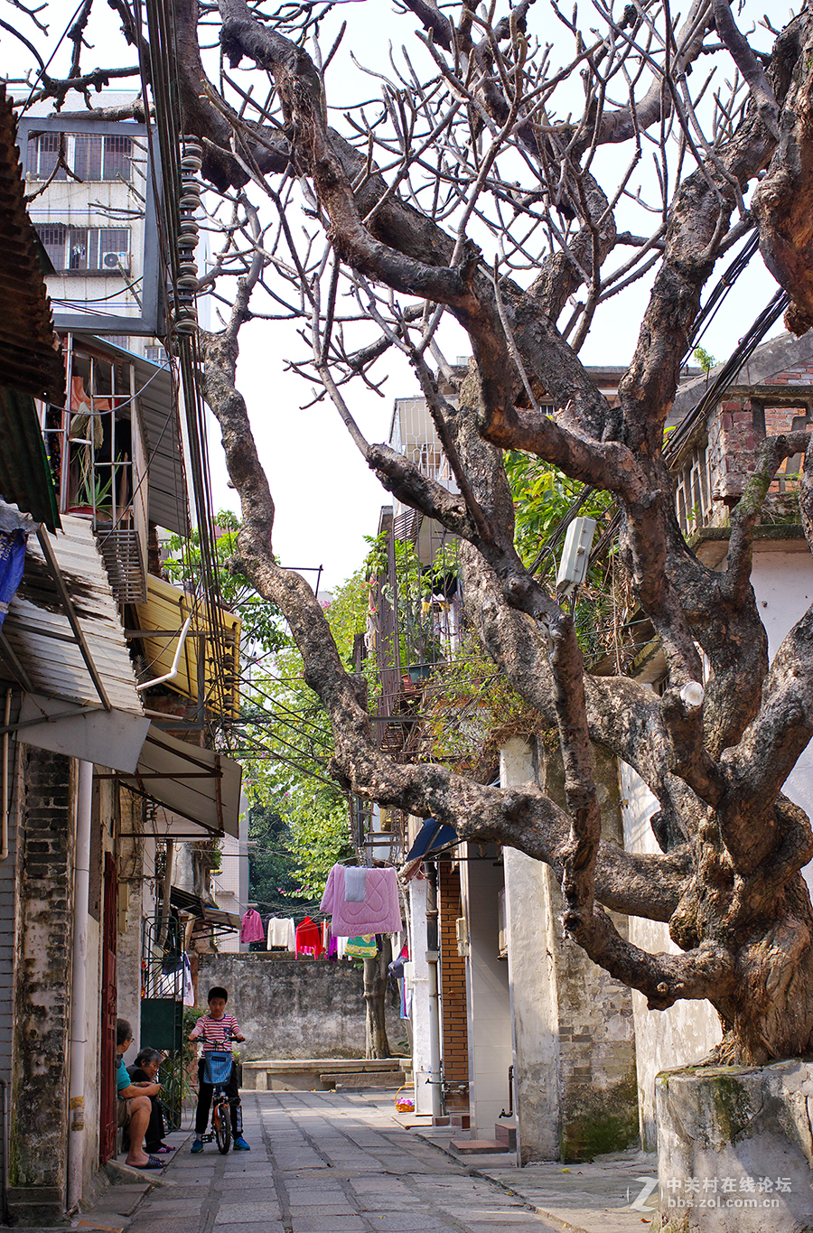 老街 ~ 扫街杂烩