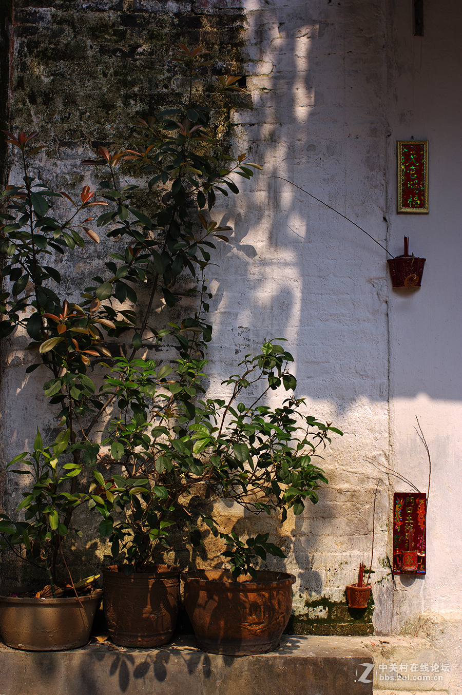 老街 ~ 扫街杂烩