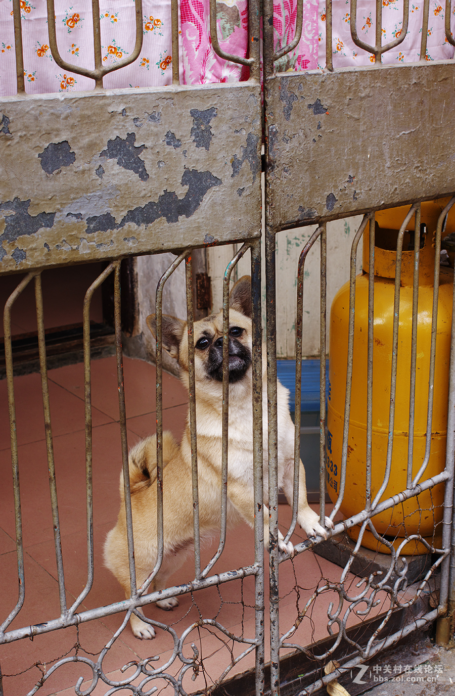 老街 ~ 扫街杂烩