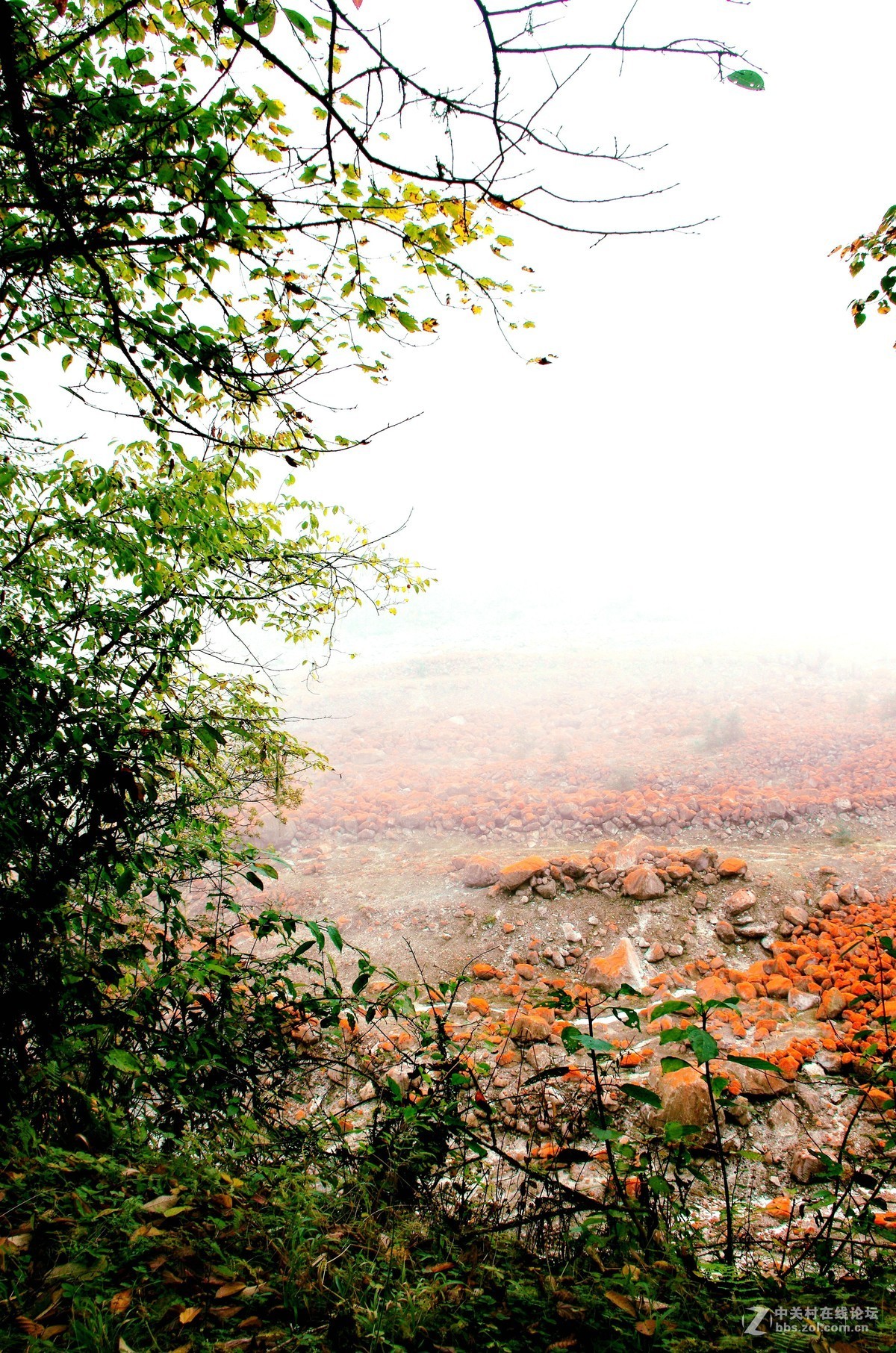 燕子沟红石滩上的红石