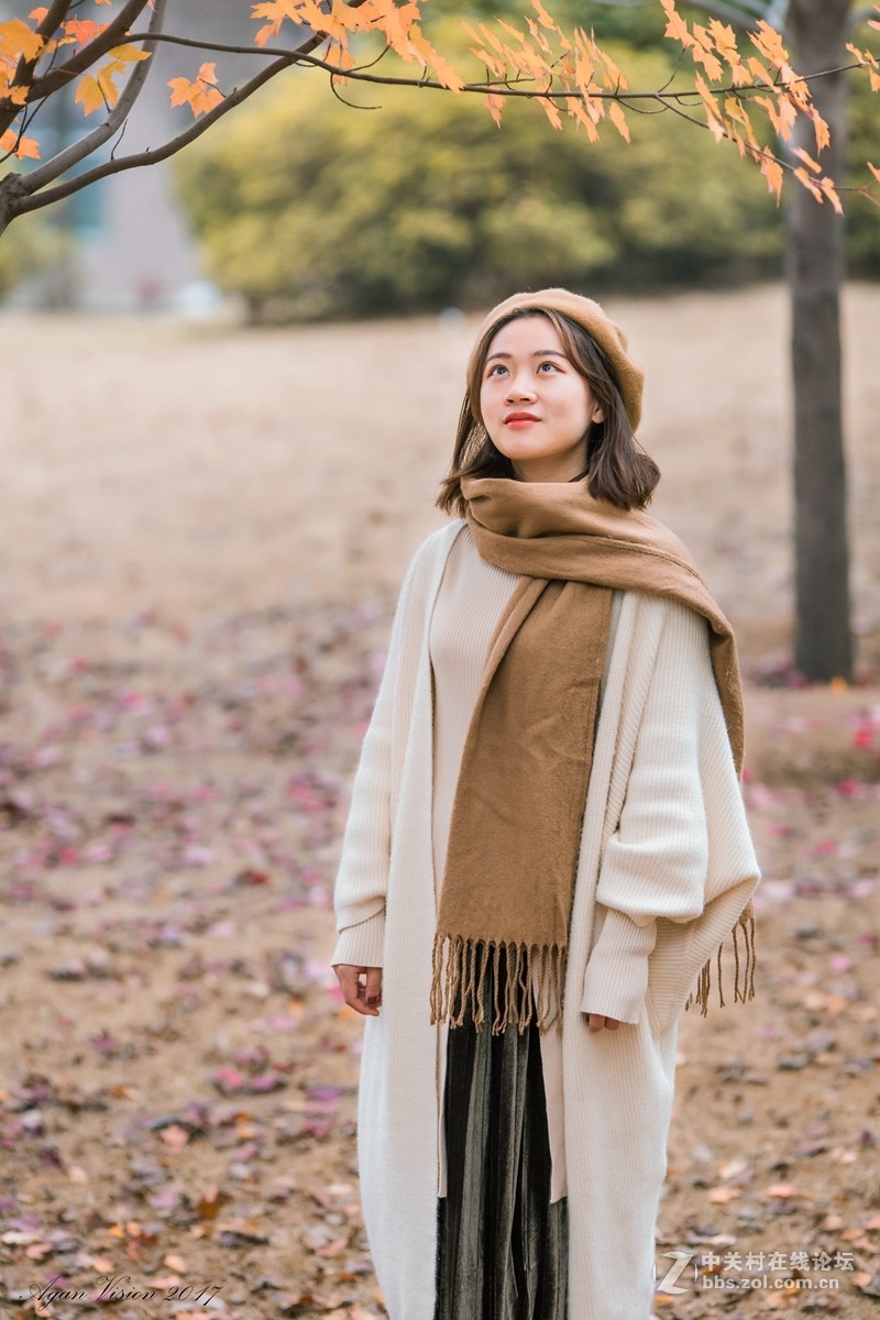 红枫竟艳秋正浓！