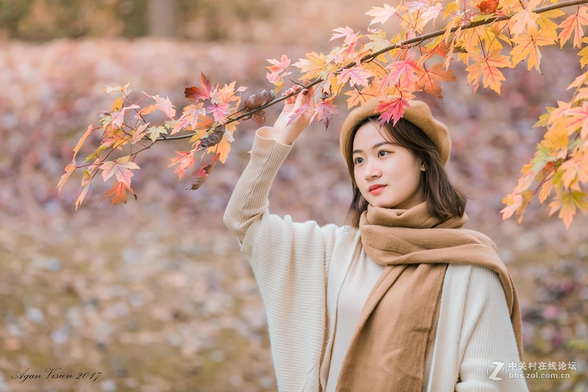 红枫竟艳秋正浓！