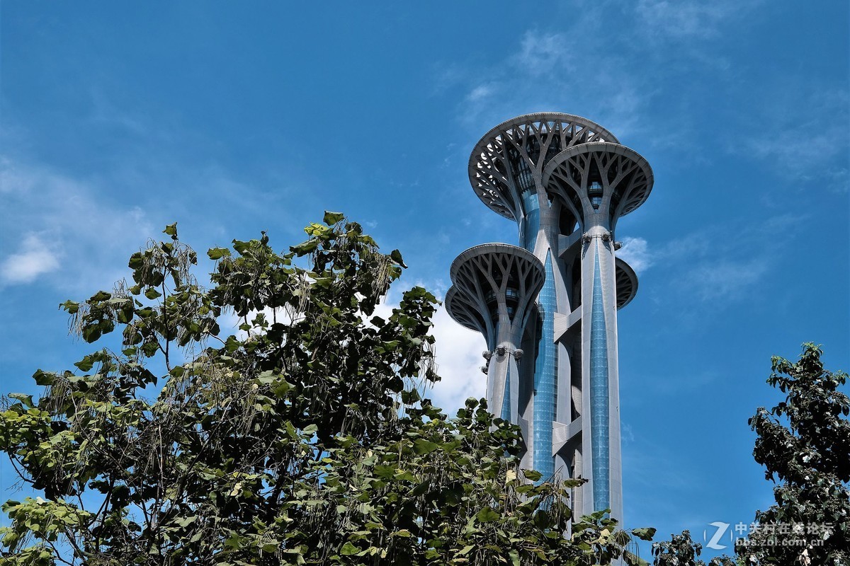 奥林匹克森林公园