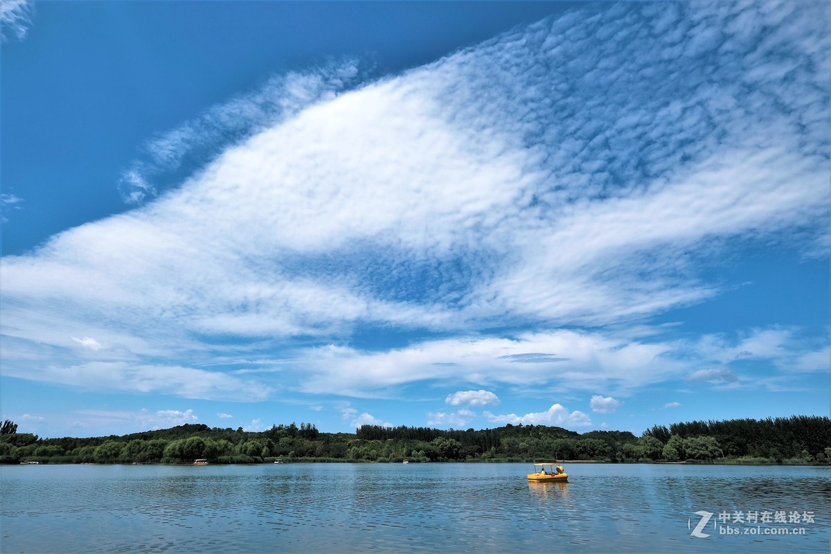 奥林匹克森林公园