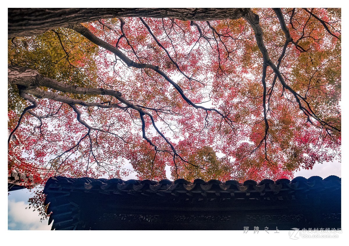 惠山秋色
