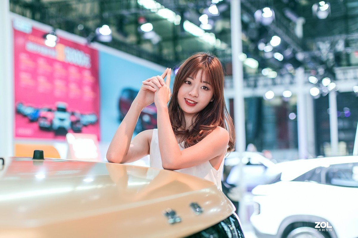 2019第十二届东盟国际车展车模