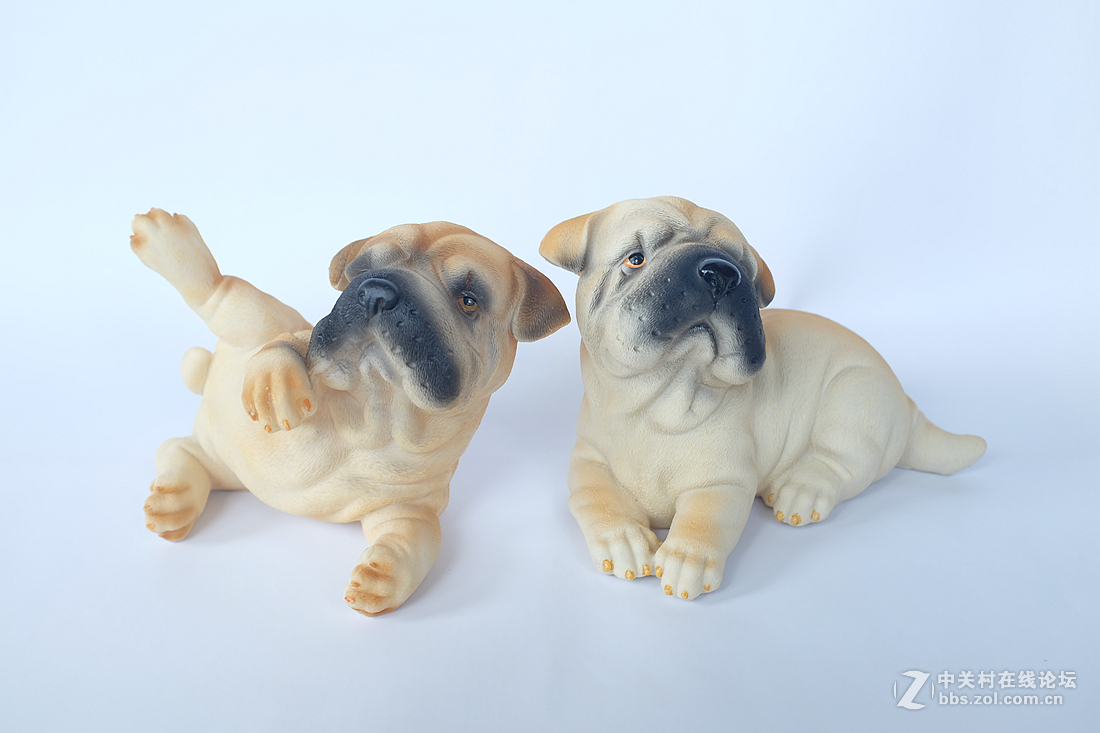 刚刚到手的富士X100T，拍拍静物试试手