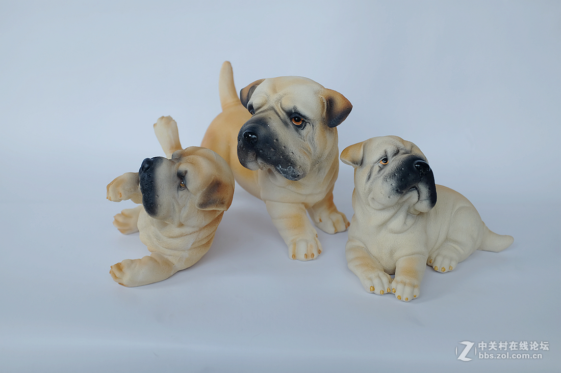 刚刚到手的富士X100T，拍拍静物试试手