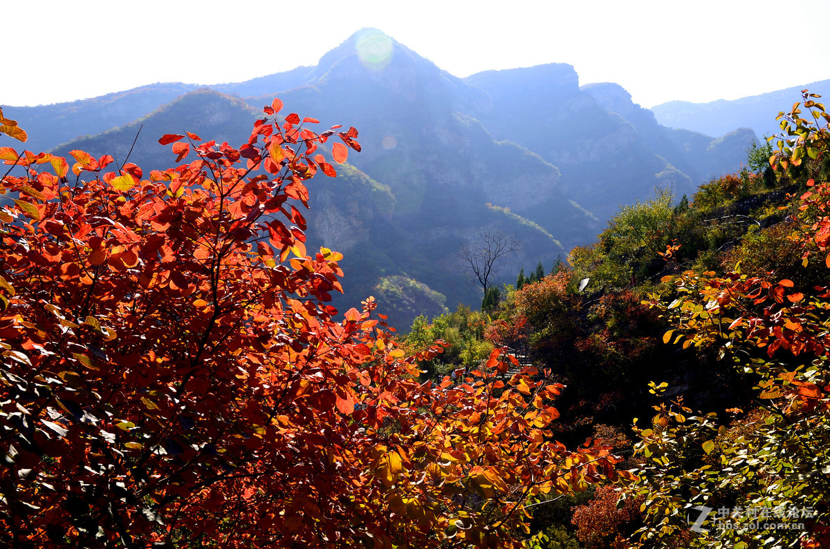 遊房山坡峰嶺賞紅葉