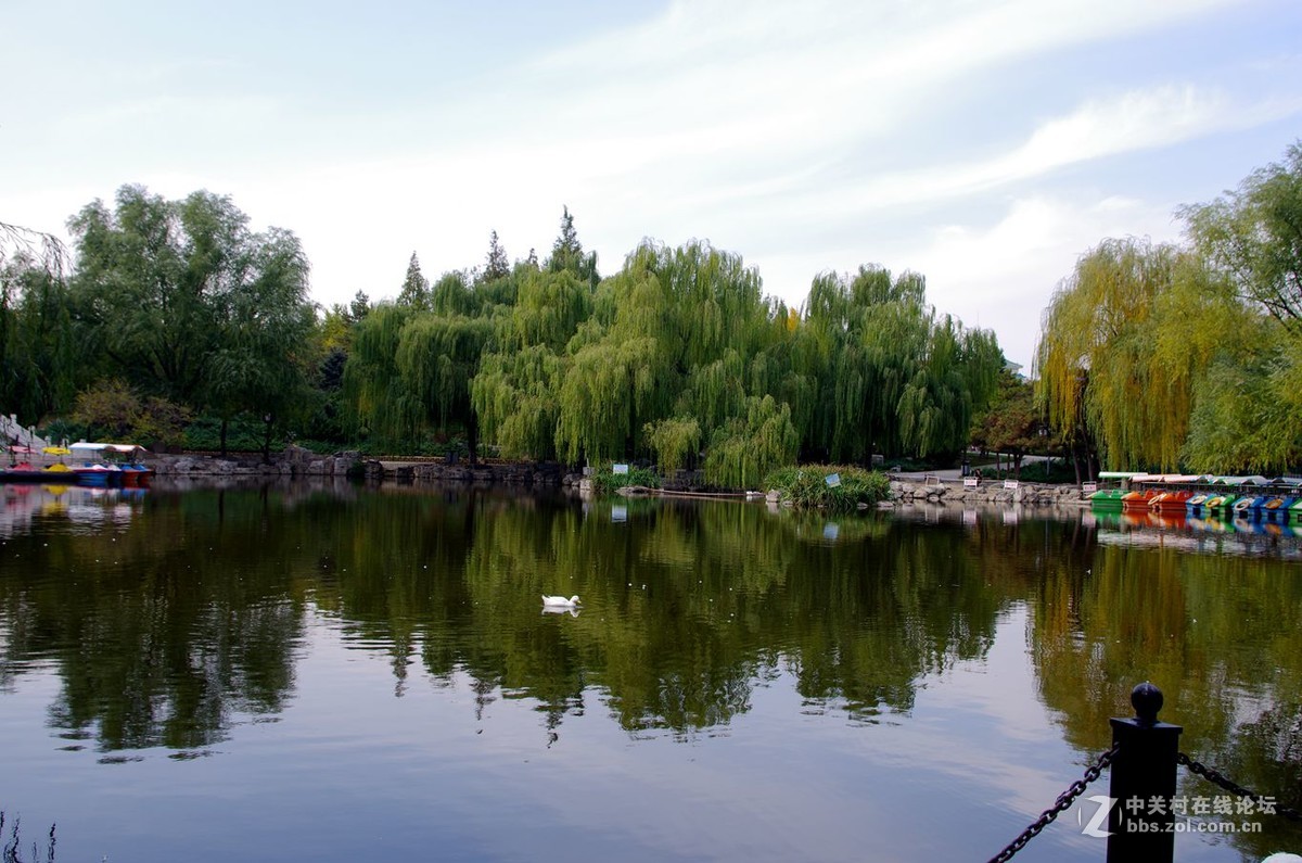 2016北京昌平中心公园景色