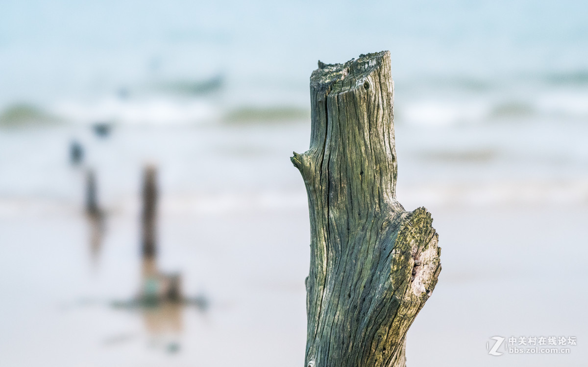 FE100mm F2.8 STF GM OSS的诱惑！