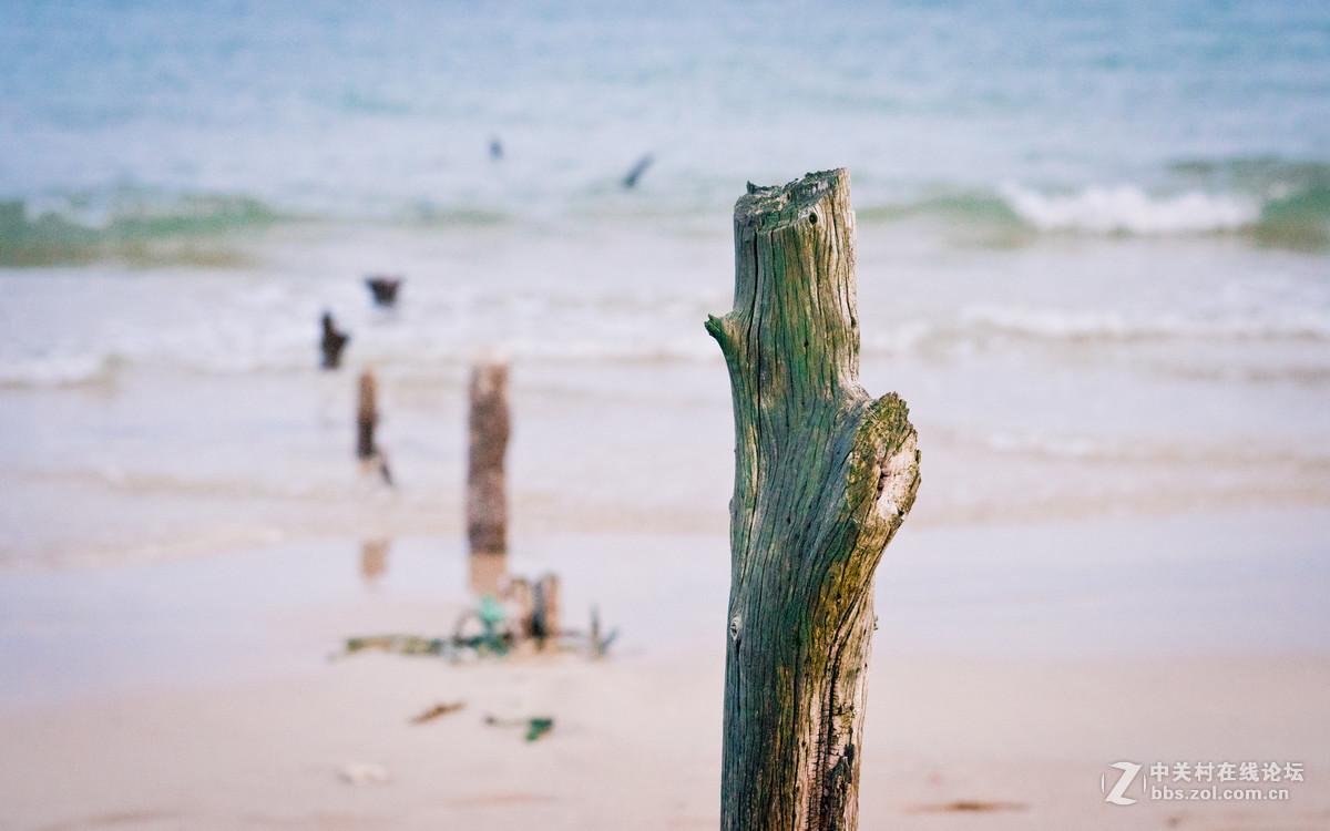 FE100mm F2.8 STF GM OSS的诱惑！