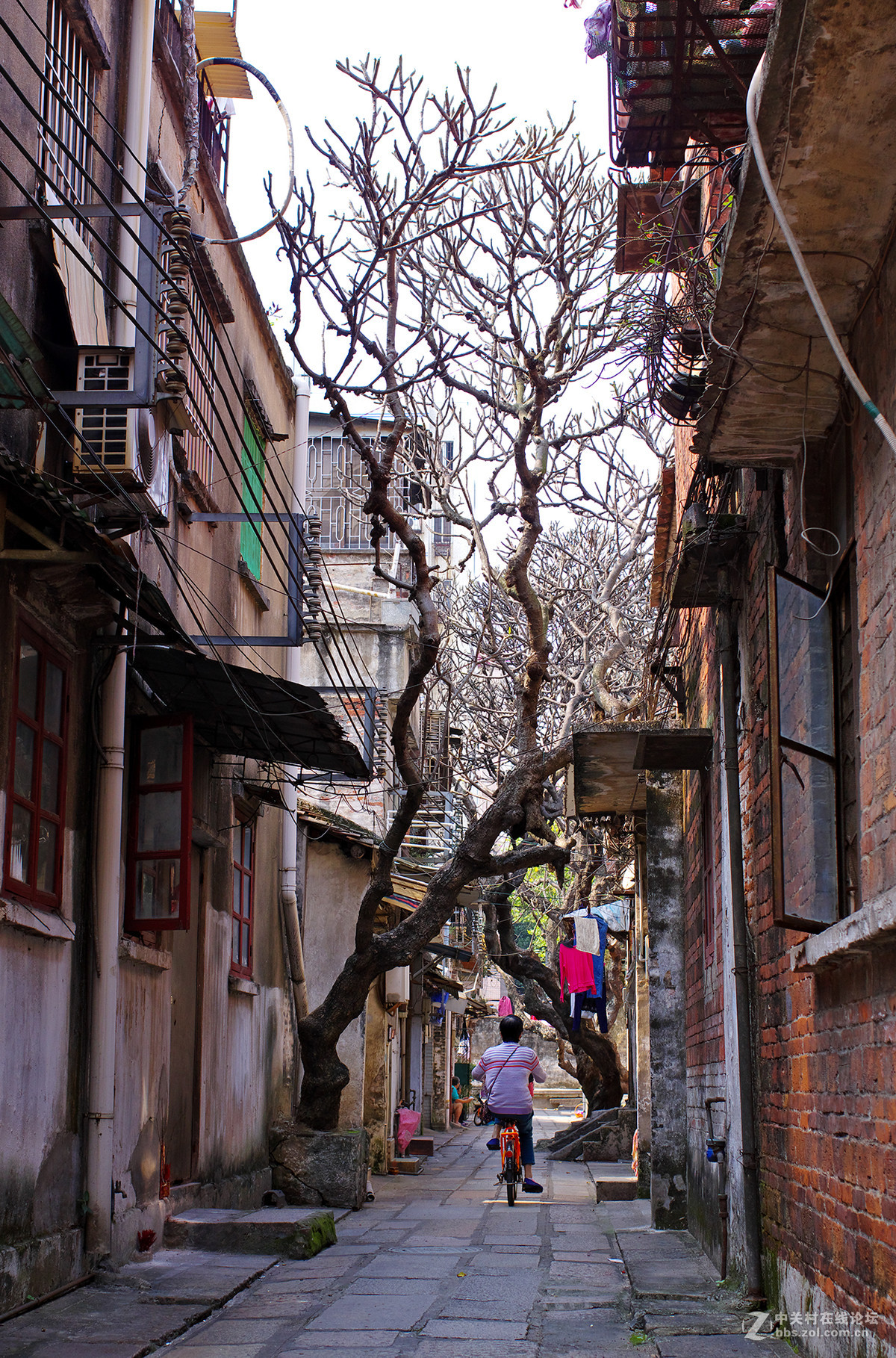 老街 ~ 扫街杂烩