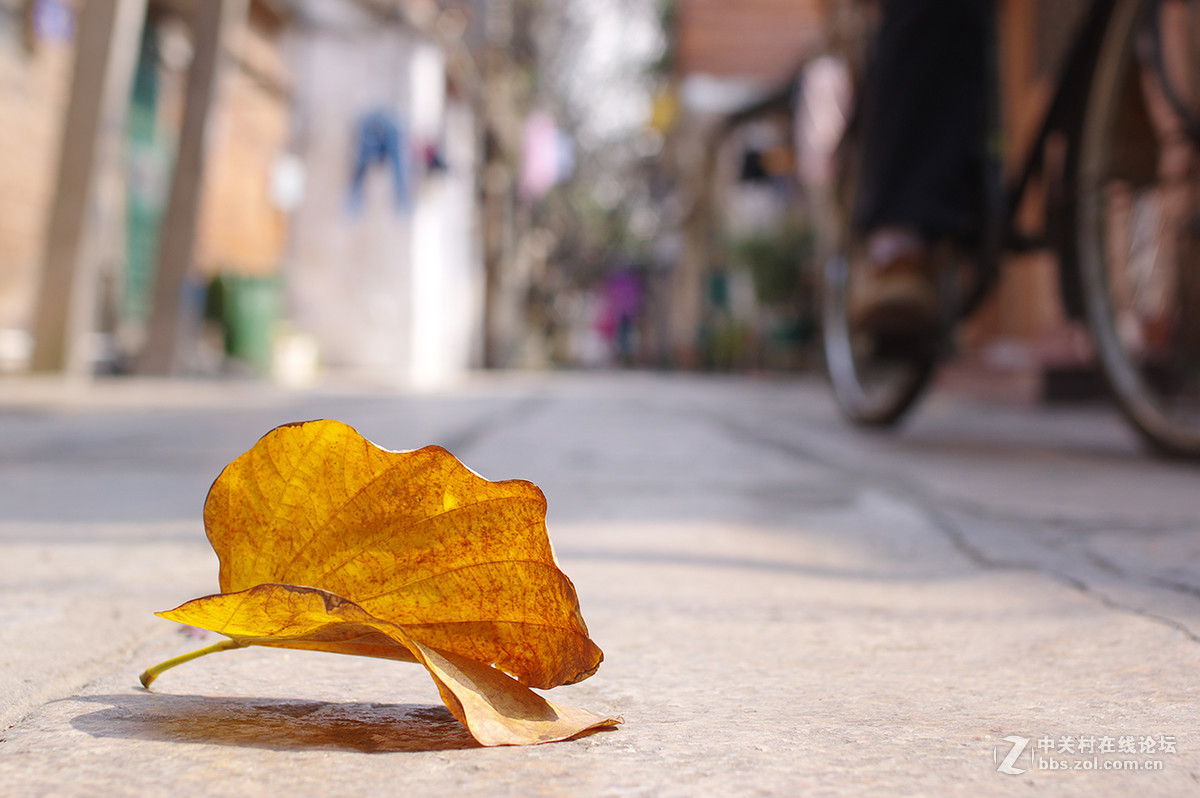 老街 ~ 扫街杂烩