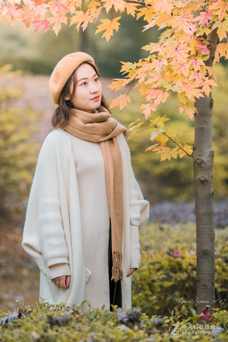 红枫竟艳秋正浓！