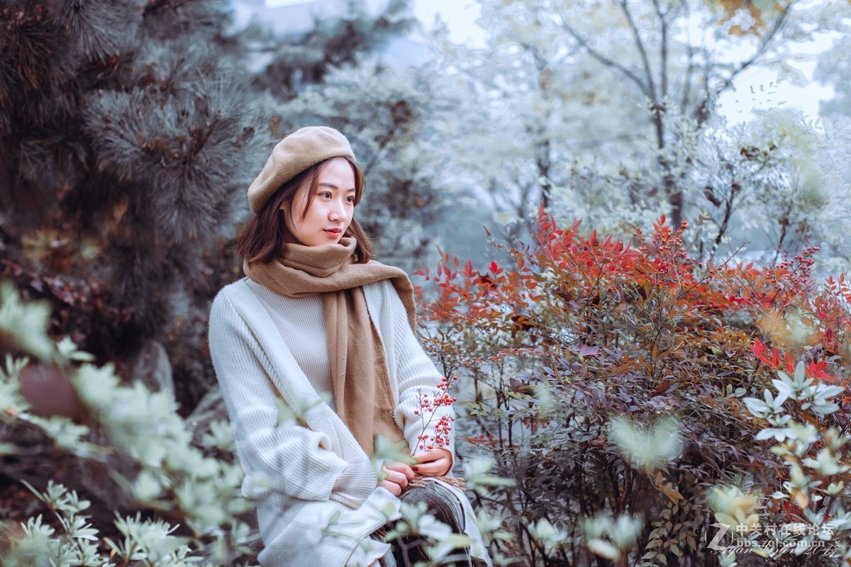 红枫竟艳秋正浓！