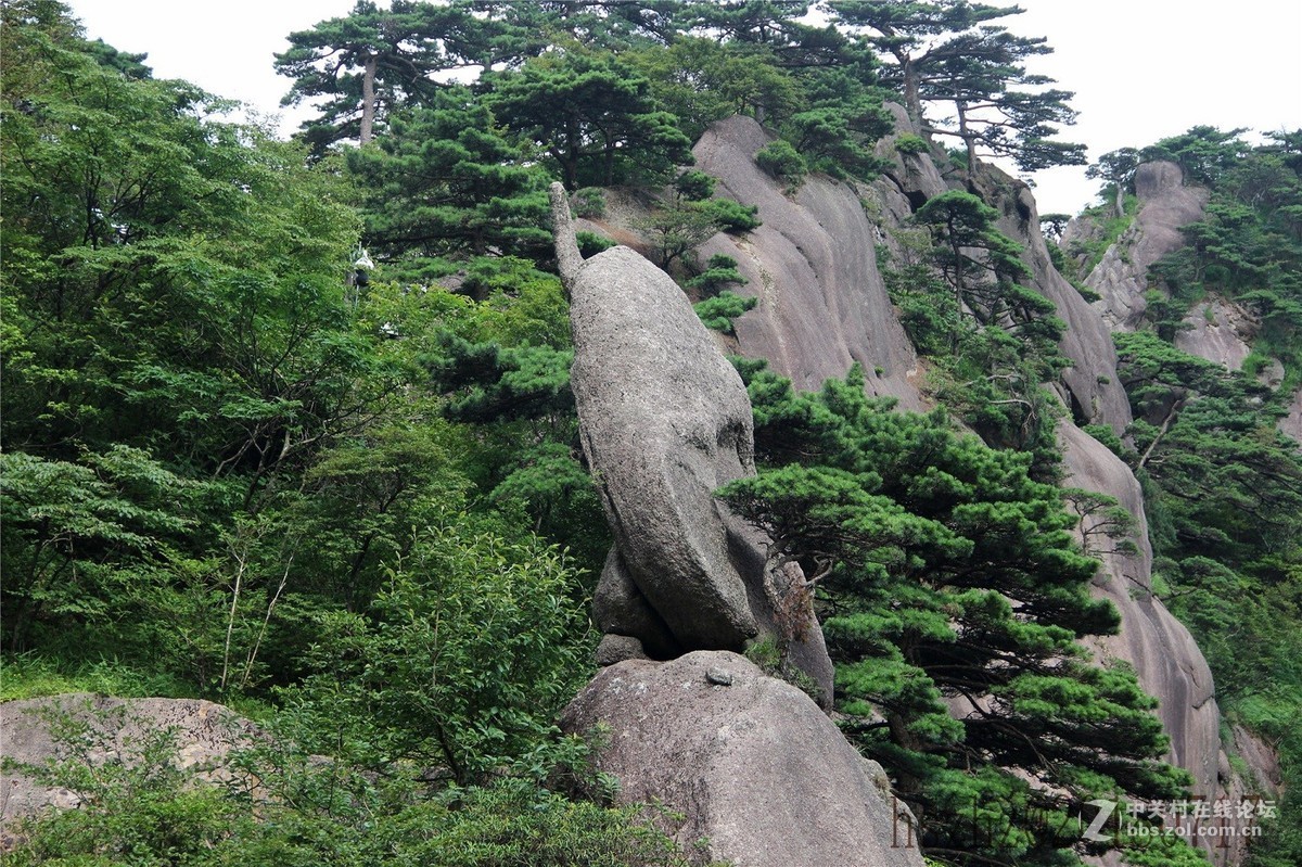 黄山怪石