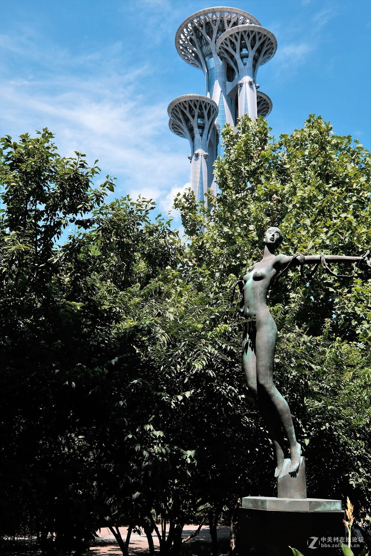 奥林匹克森林公园