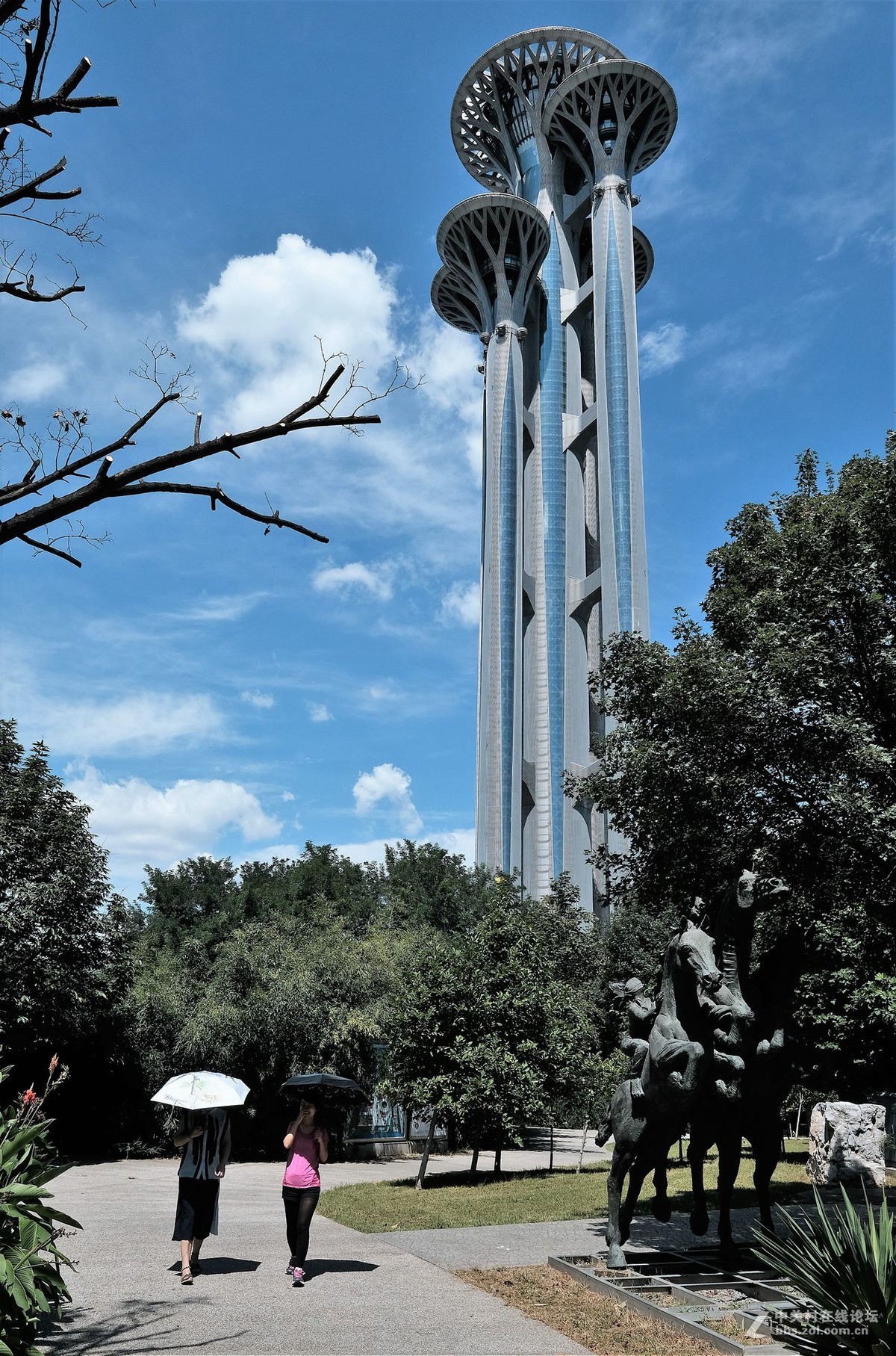 奥林匹克森林公园