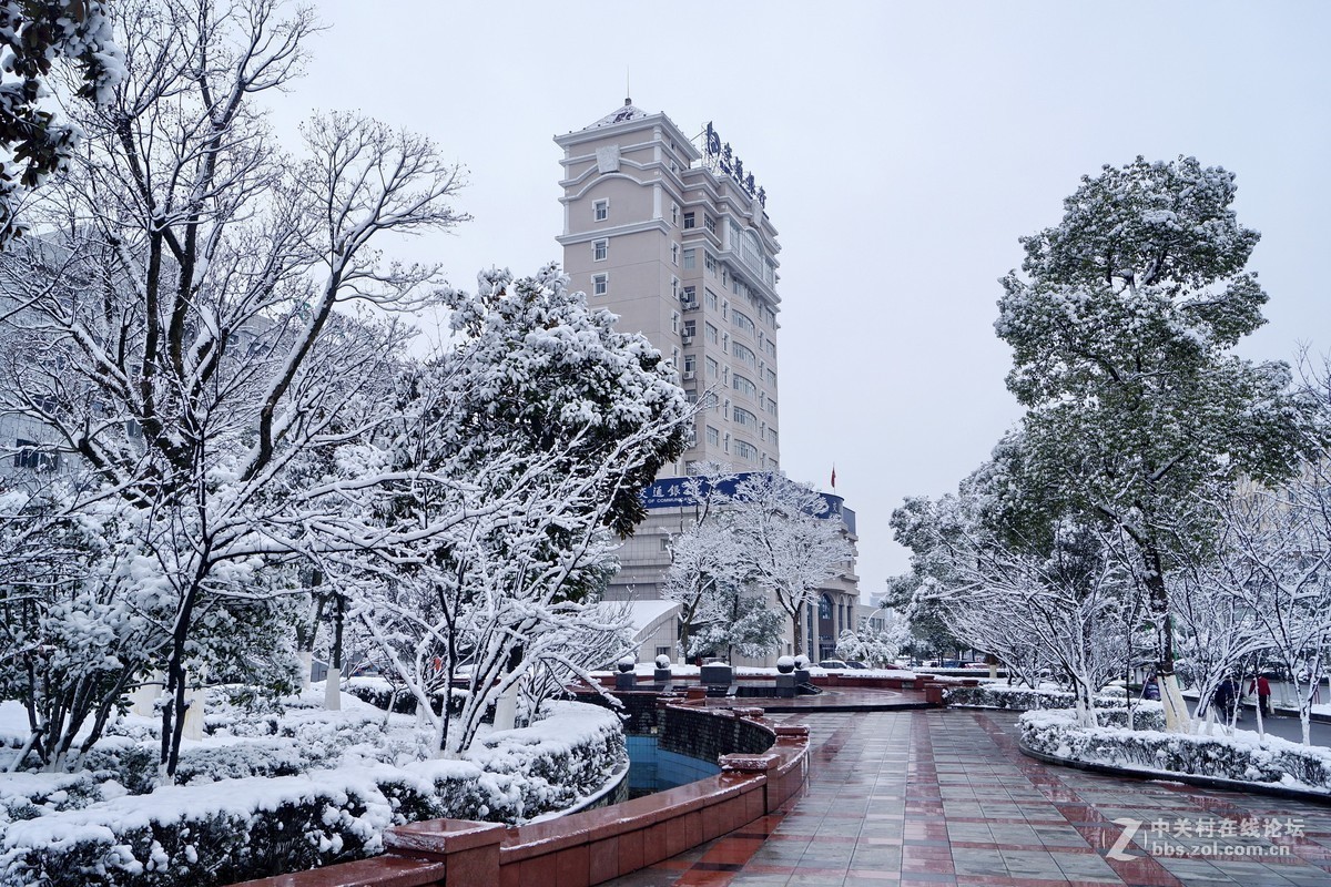#版主坐堂#小五星空(中国)2019年元月精品荟萃